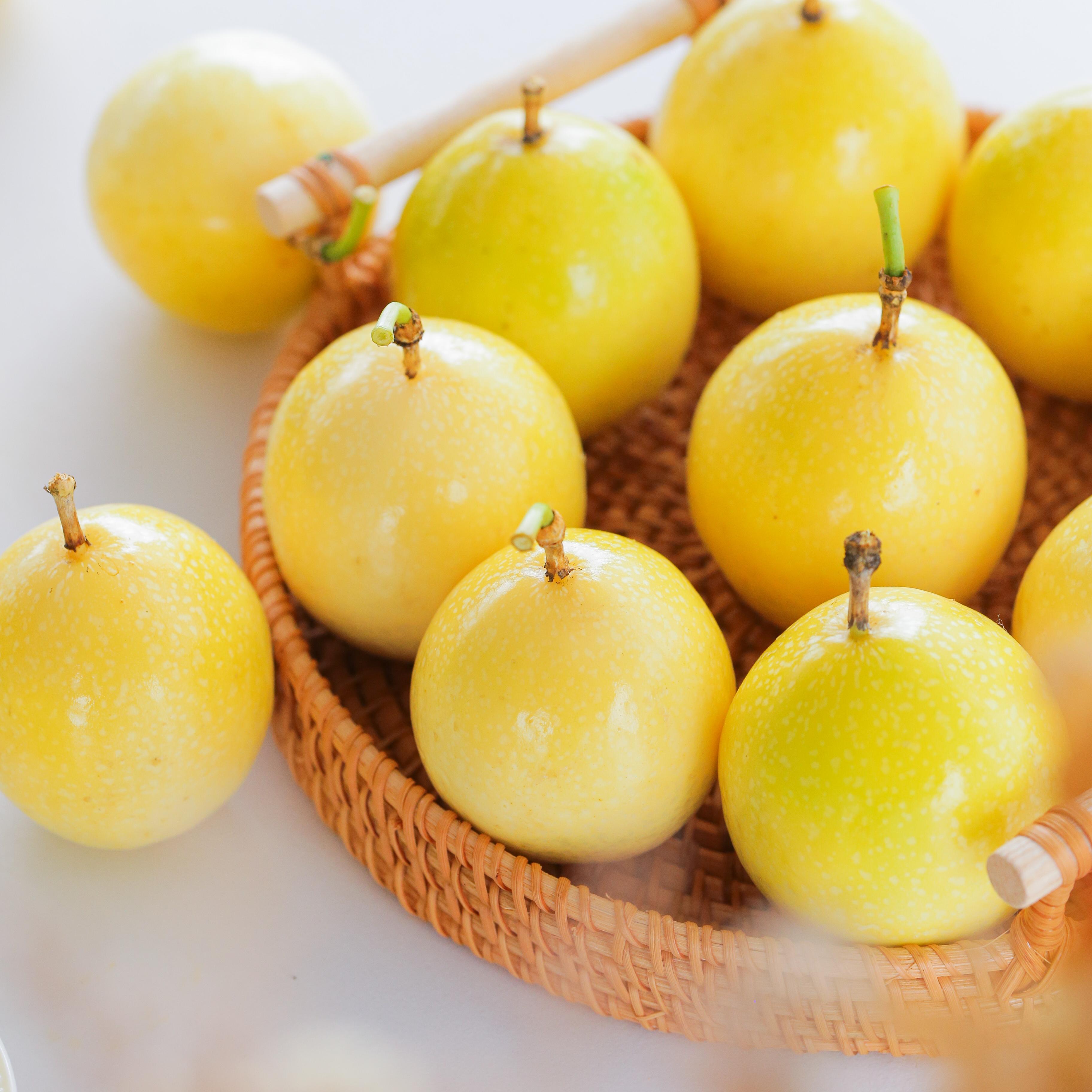 梅州成立百香果协会